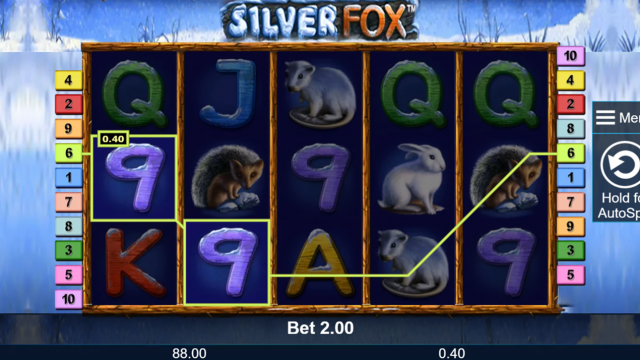 Игровой аппарат Silver Fox