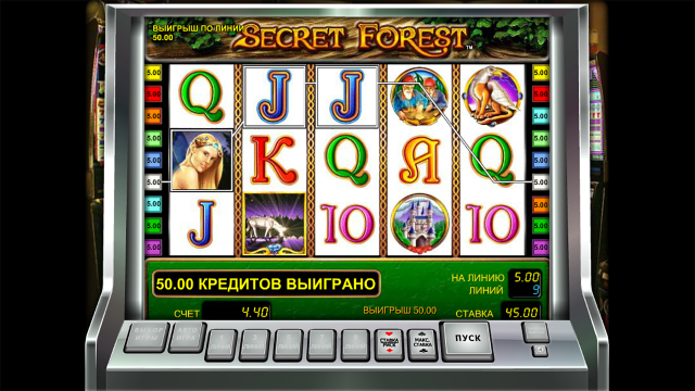 Игровой аппарат Secret Forest