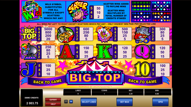 Игровой аппарат Big Top